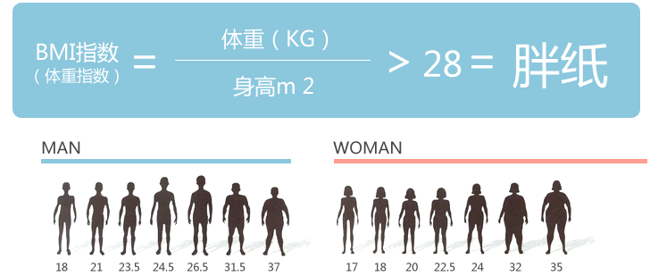 全国肥胖人口占多少_目前世界上肥胖人口是多少