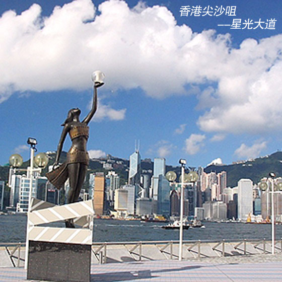 2010魅力香港畅享之旅(成人)