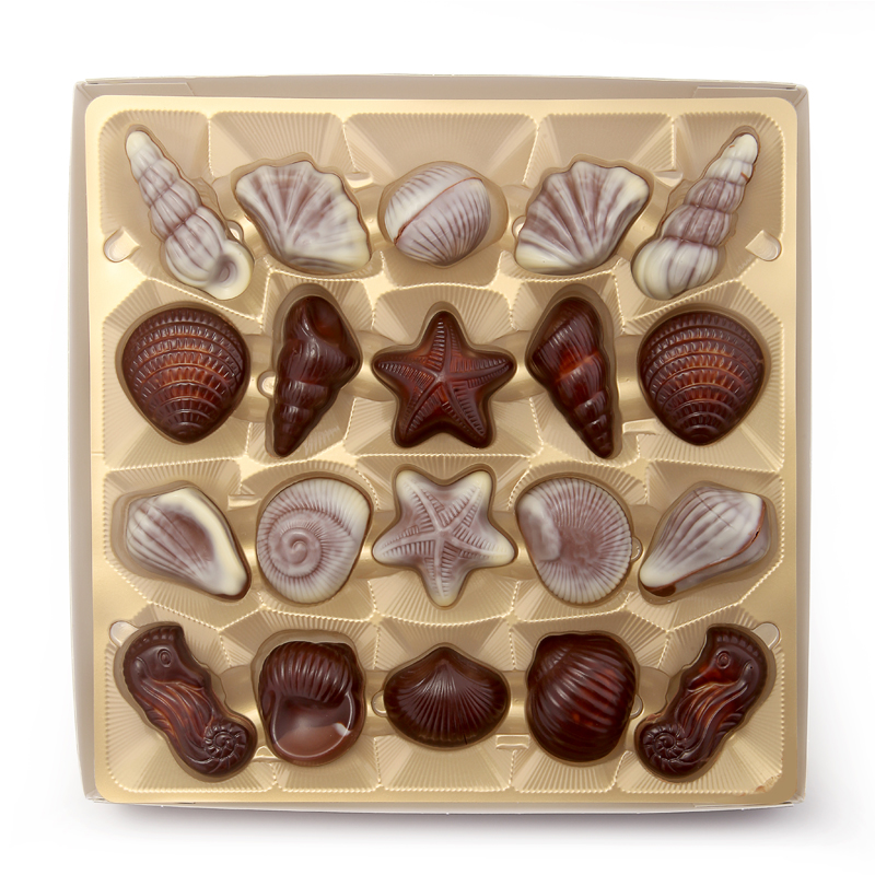 白丽人贝壳形巧克力250g