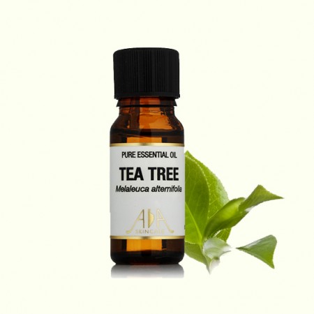 AASkincare茶树精油10ml 栗棕色