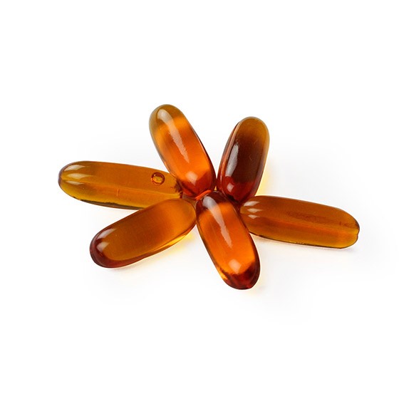 渔夫堡牌 藏戈胶囊60粒