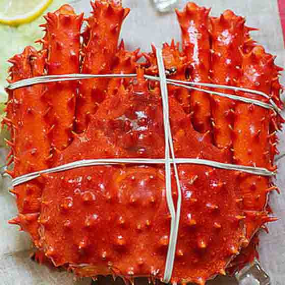 鲜动生活南极智利帝王蟹