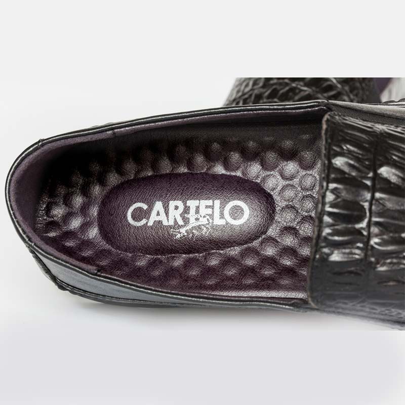 卡帝乐鳄鱼(CARTELO)经典鳄鱼纹皮鞋超值套组·男