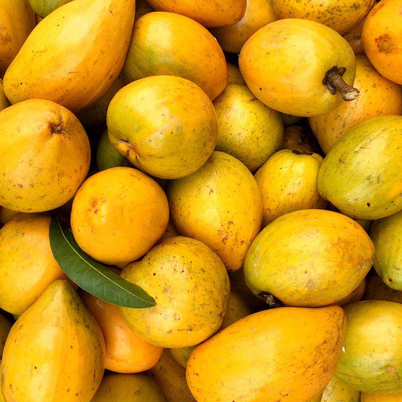 越南鸡蛋果10斤