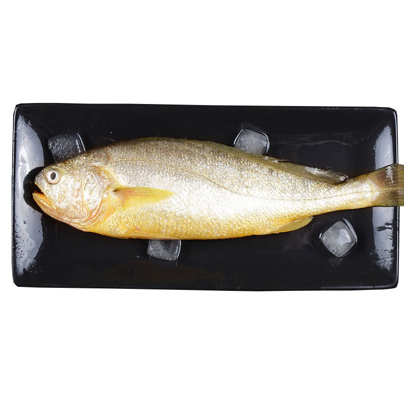东海野生大黄鱼2kg（4-6条）