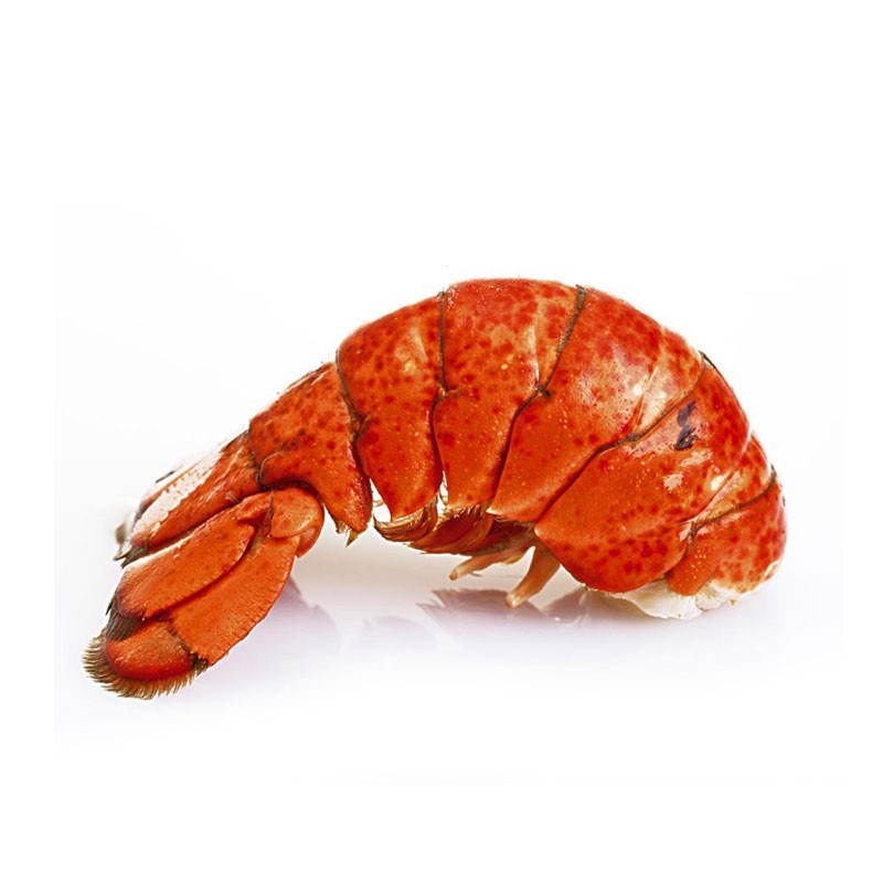 加拿大波士顿龙虾尾454g四只装