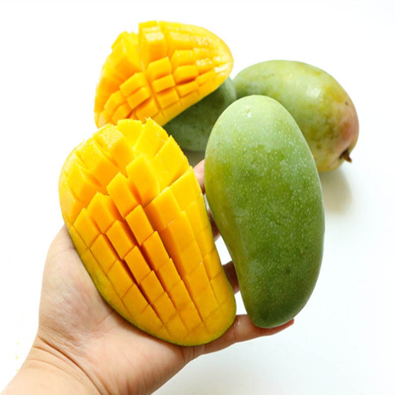 越南进口青芒果8斤 单果重约200g-400g 玉芒新鲜水果