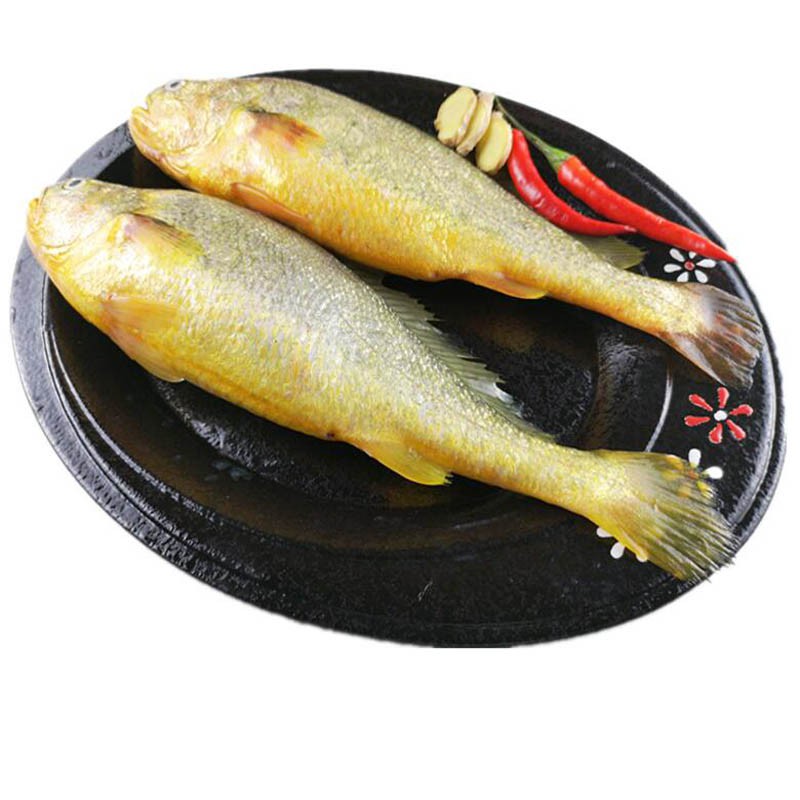 家家尚选东海野生大黄鱼 2kg（4条）