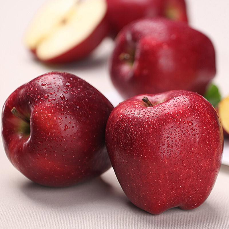 陕西洛川美国品种新鲜红蛇果9斤装