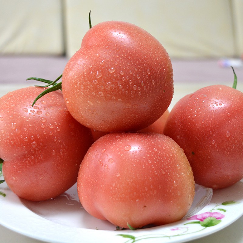 攀枝花大番茄沙地甜心6斤箱普罗旺斯西红柿沙瓤现摘