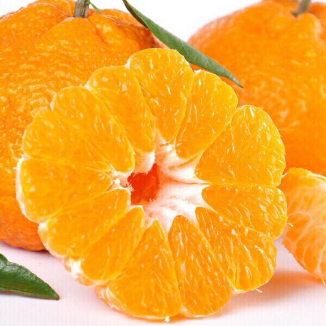 不知火 丑橘 丑八怪美食拍摄生鲜拍摄水果拍摄蜜桔_迪芃视觉-站酷ZCOOL