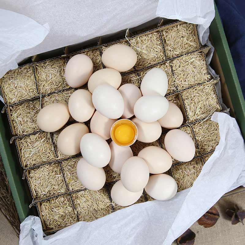 鄂西山区散养上树鸡土鸡蛋30枚/1350g