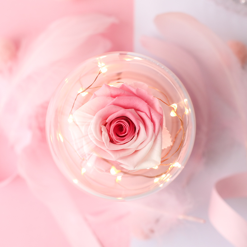 roseamor厄瓜多尔玫瑰王子蓝牙音乐盒(送礼盒)·国产玫瑰粉白渐变