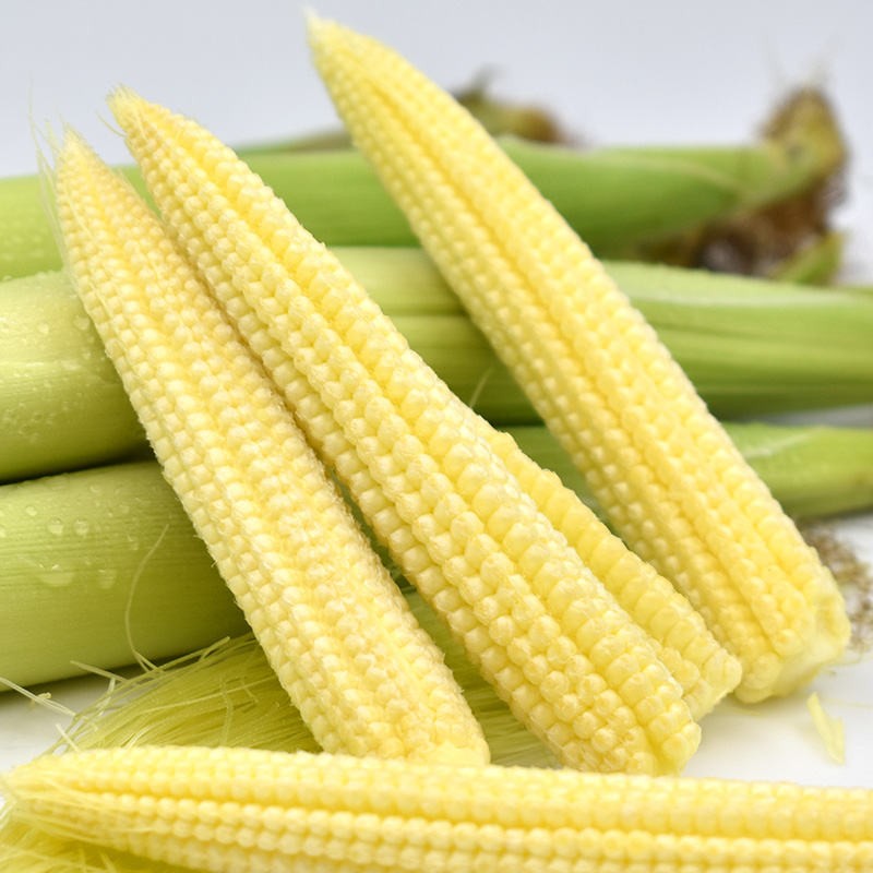 新鲜玉米笋香嫩脆甜现摘现发精选净果8斤装