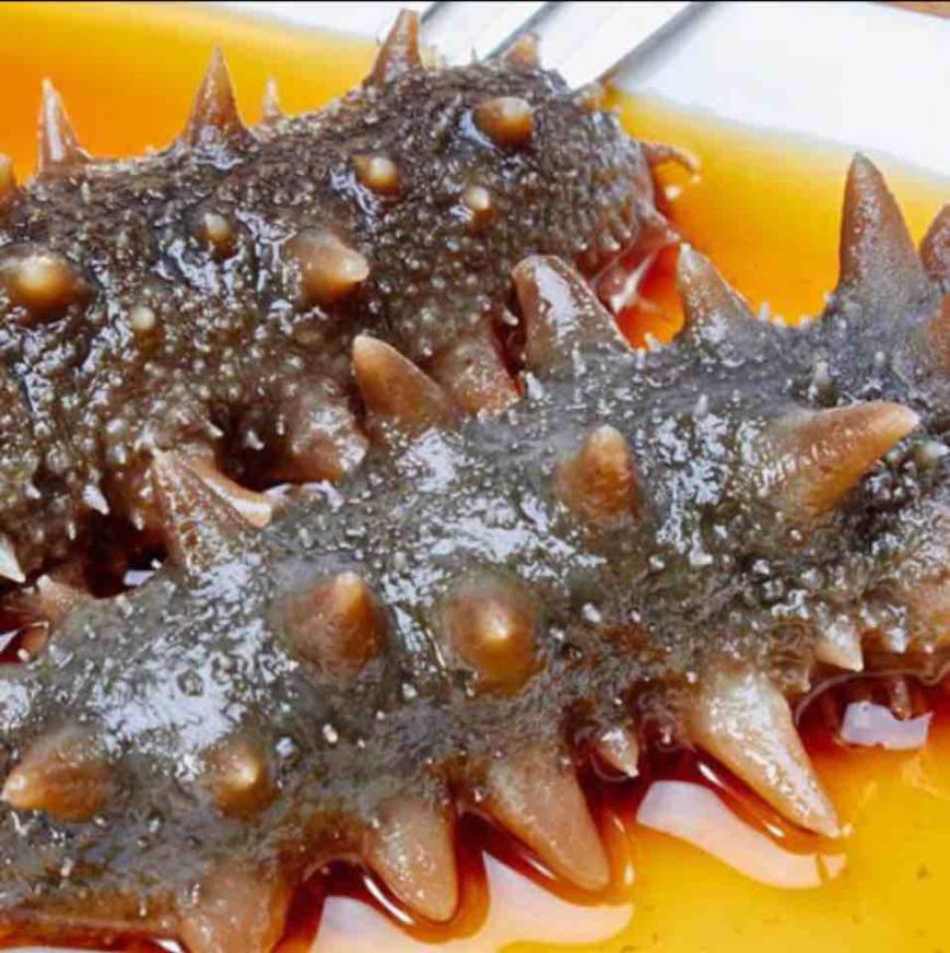 [参福元]冷冻海参10头300g*5包(超值赠品)